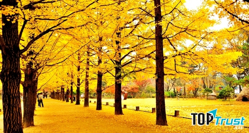 Ảnh minh họa (nguồn internet)