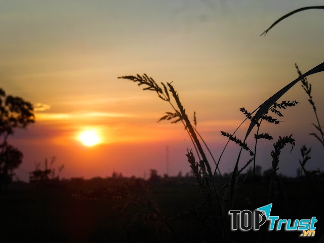 Chúng ta sẽ đi đâu trong những buổi chiều tà