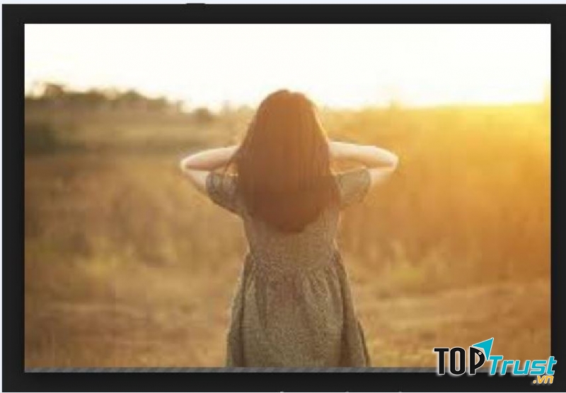 Ảnh minh họa (nguồn internet)