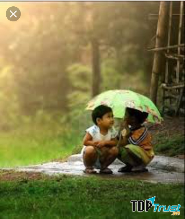 Ảnh minh họa (nguồn internet)