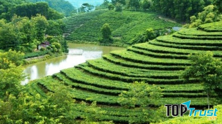 Ảnh minh họa (nguồn internet)