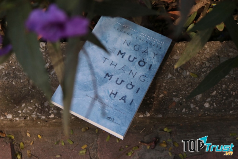 Ảnh minh họa (nguồn internet)