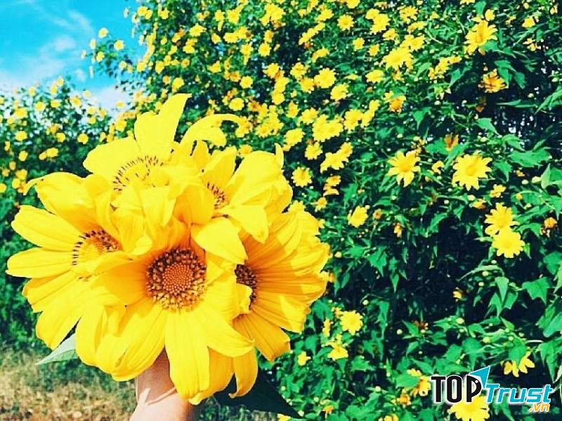 Ảnh minh họa (nguồn internet)