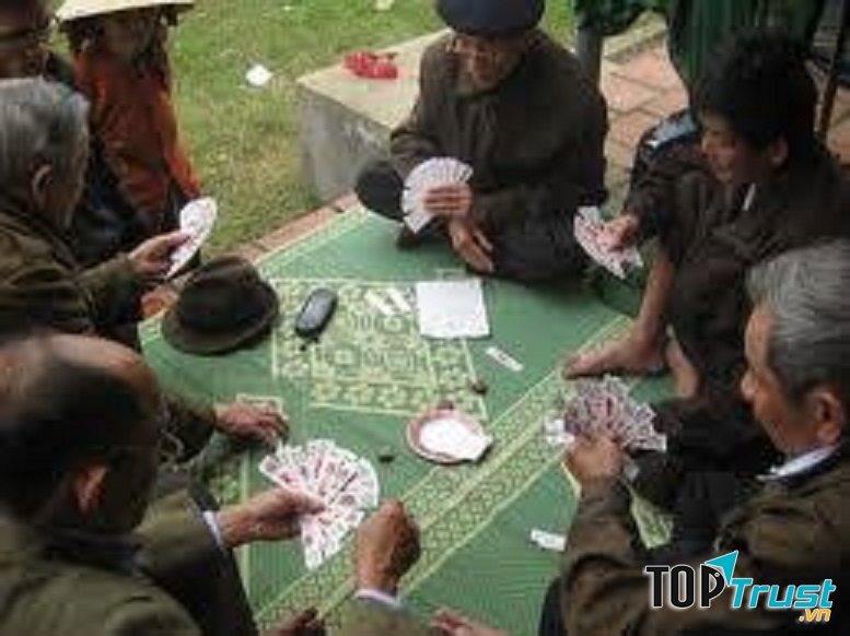 Ảnh minh họa (nguồn internet)