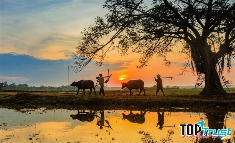 Ảnh minh họa (nguồn Internet)