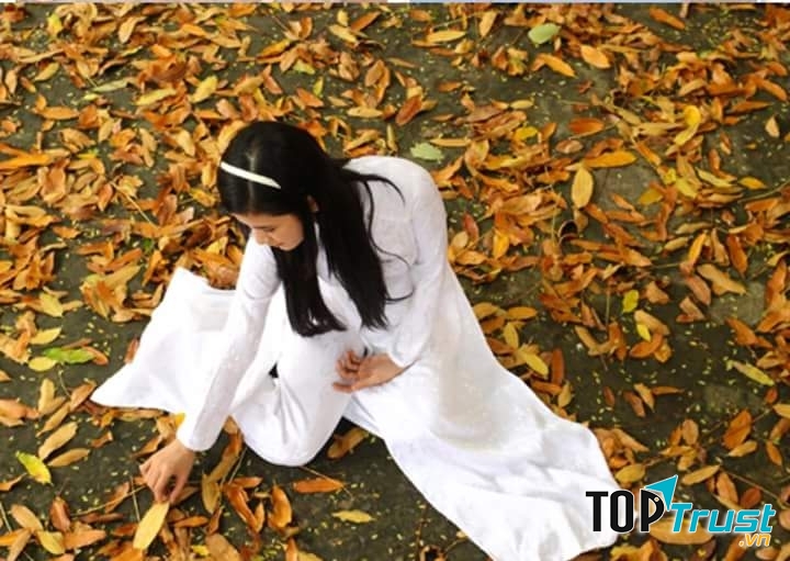 Ảnh minh họa (nguồn internet)