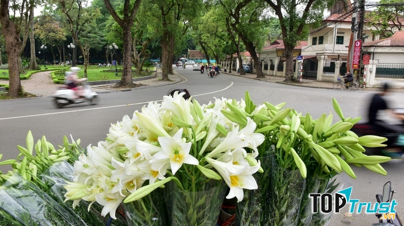 Ảnh minh họa (nguồn internet)