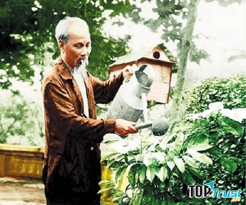 Ảnh chân dung Bác Hồ