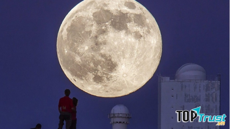 Ảnh minh họa (nguồn internet)