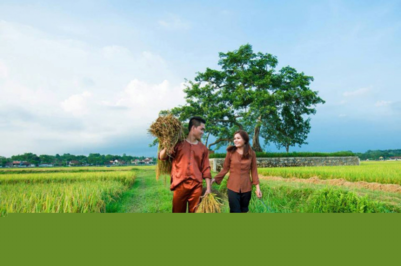 Ảnh minh họa (nguồn internet)