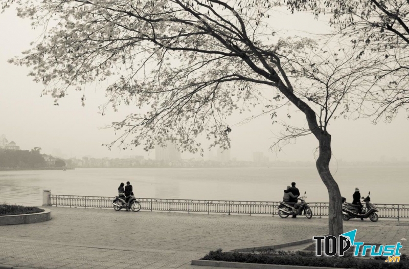 Ảnh minh họa (nguồn internet)