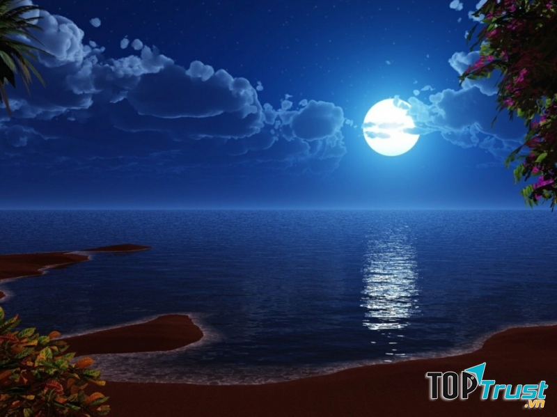 Ảnh minh họa (nguồn internet)