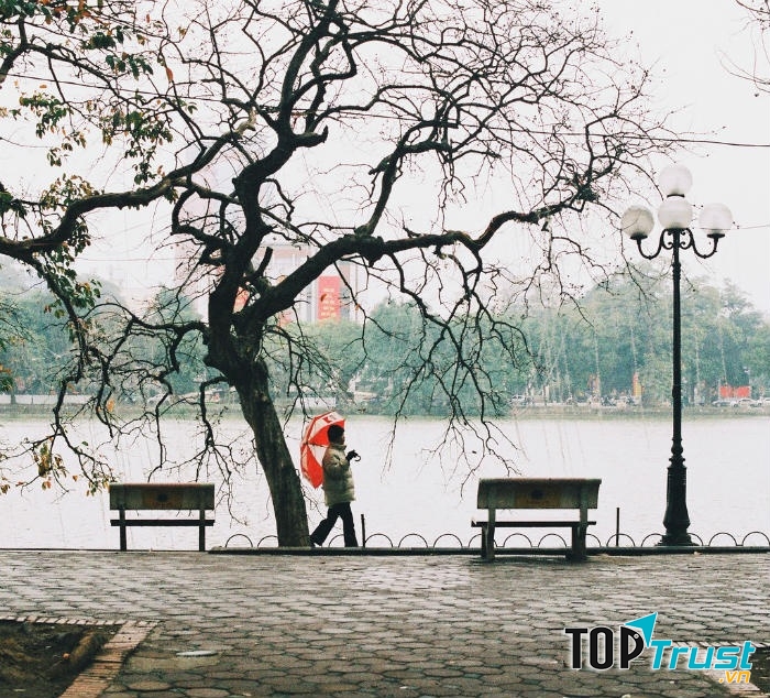 Ảnh minh họa (nguồn internet)