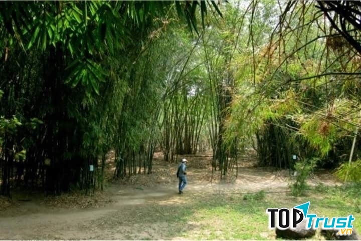 Ảnh minh họa (nguồn internet)