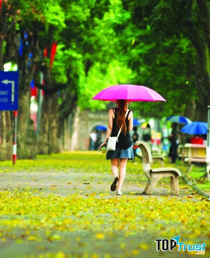 Ảnh minh họa (nguồn internet)