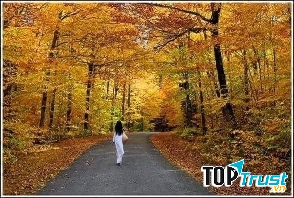 Ảnh minh họa (Nguồn internet)