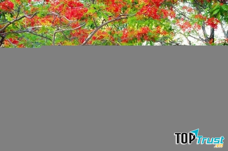 Ảnh minh họa (nguồn internet)