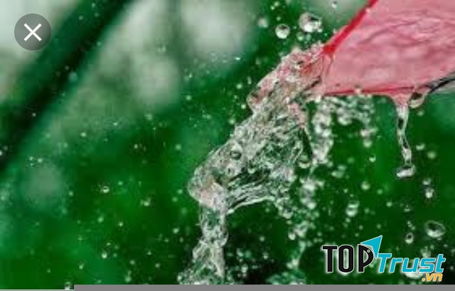 Ảnh minh họa (nguồn internet)