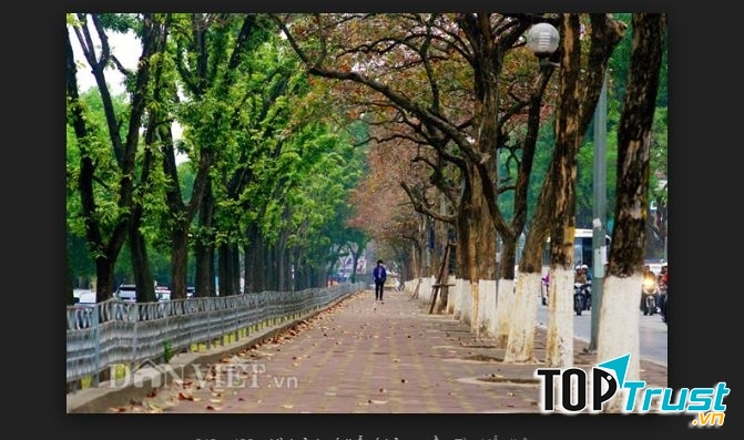 Ảnh minh họa (nguồn Internet)