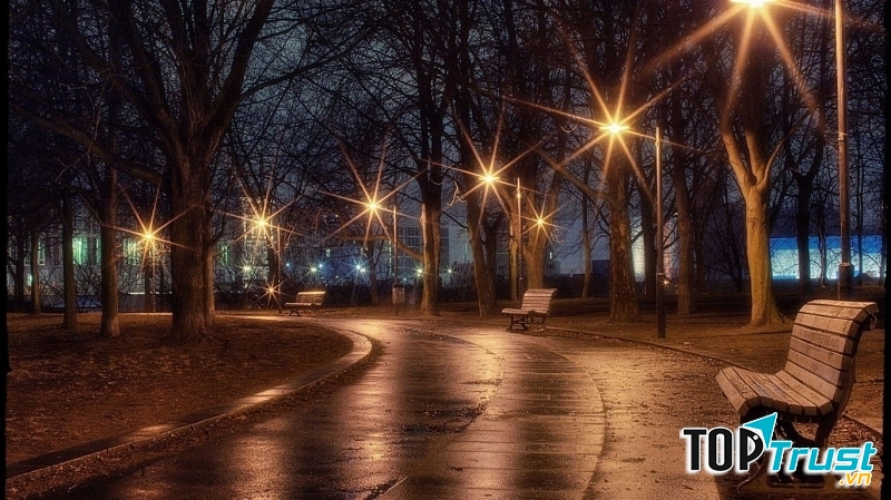 Ảnh minh họa (nguồn internet)