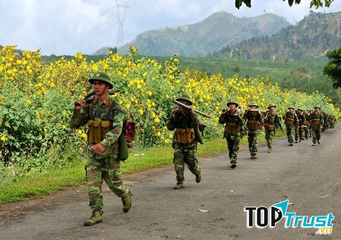 Ảnh minh họa (nguồn internet)