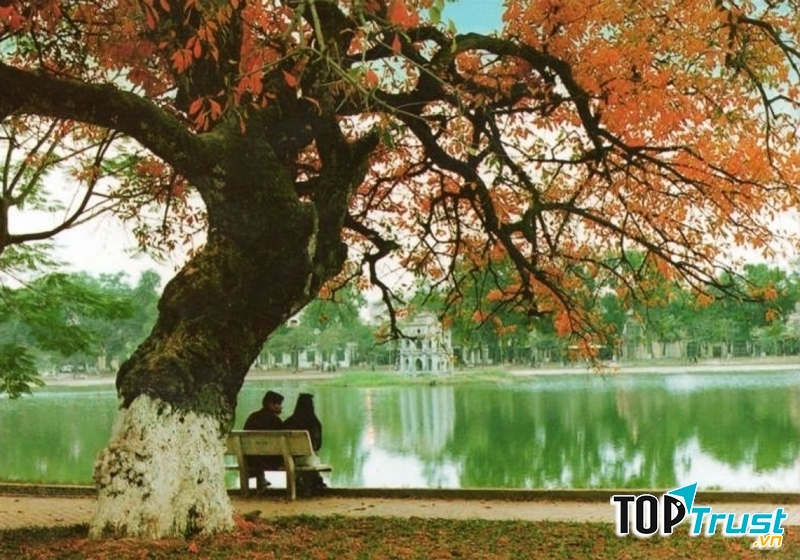 Ảnh minh họa (nguồn internet)