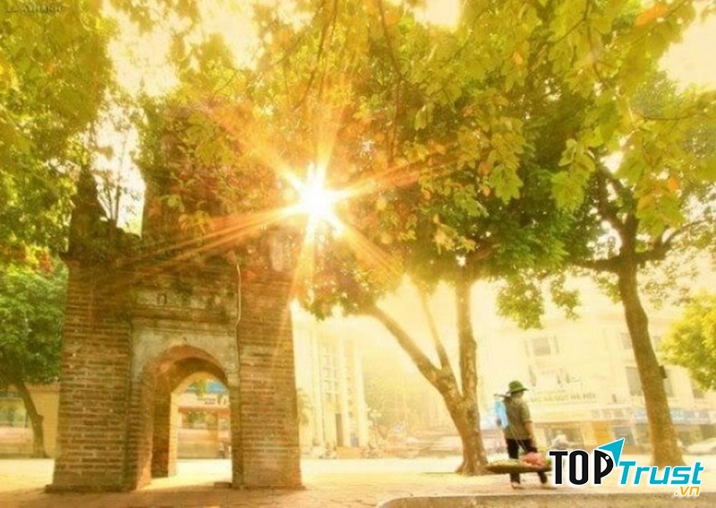 Ảnh minh họa (nguồn internet)