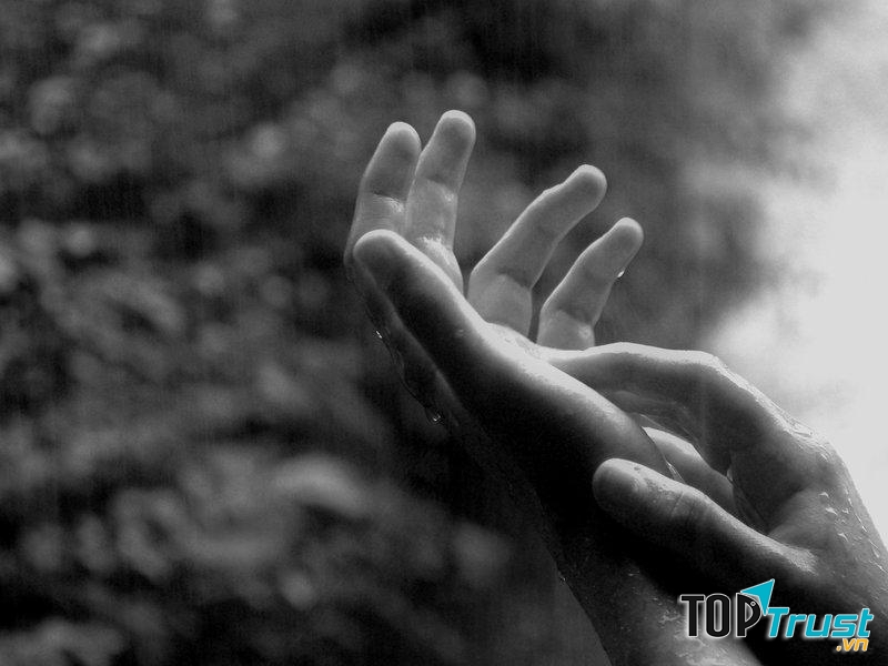 Ảnh minh họa (nguồn internet)