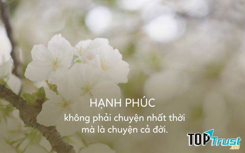 Ảnh minh họa (Nguồn internet)