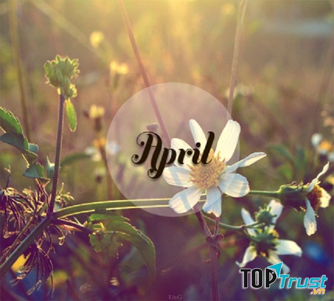 Ảnh minh họa (nguồn internet)