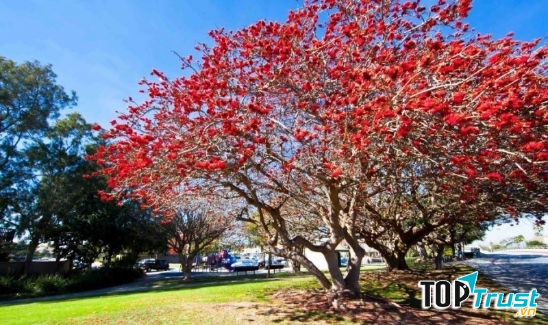 Ảnh minh họa (nguồn internet)