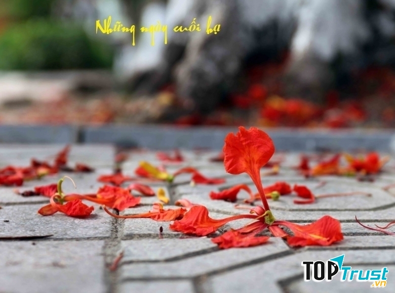 Ảnh minh họa (nguồn internet)