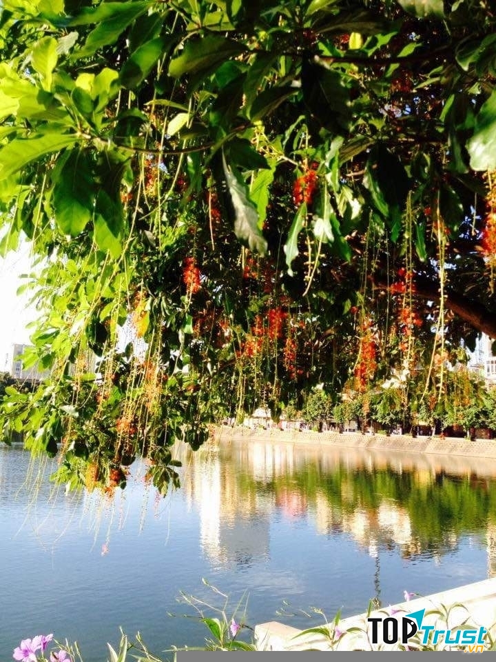 Ảnh minh họa (nguồn internet)