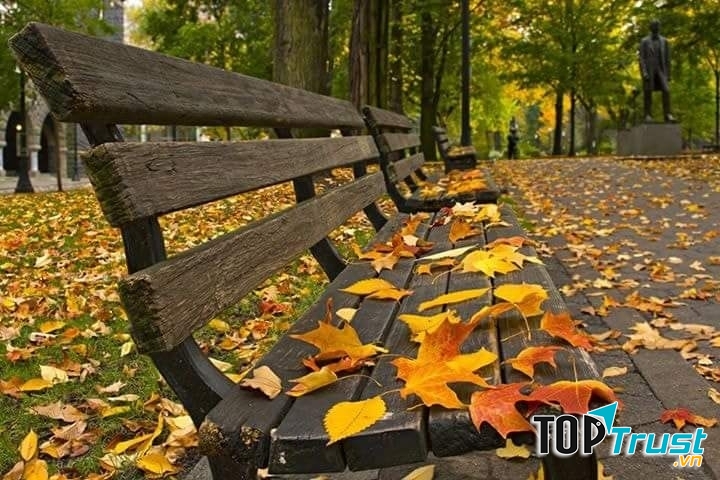 Ảnh minh họa ( nguồn internet)