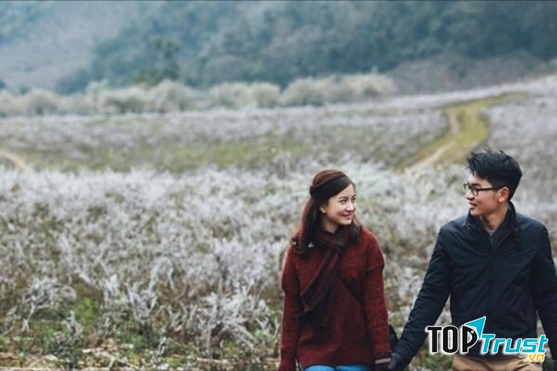 Ảnh minh họa (nguồn internet)