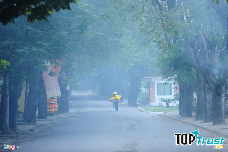 Ảnh minh họa (nguồn internet)