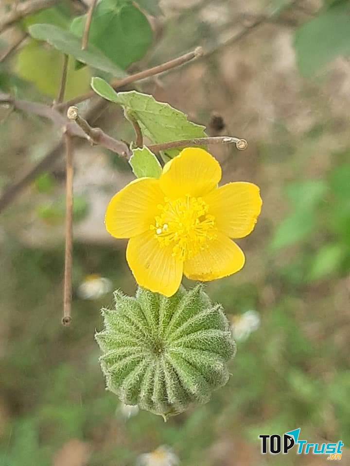 Ảnh minh họa (nguồn internet)