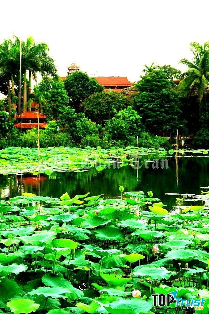 Ảnh minh họa (nguồn internet)