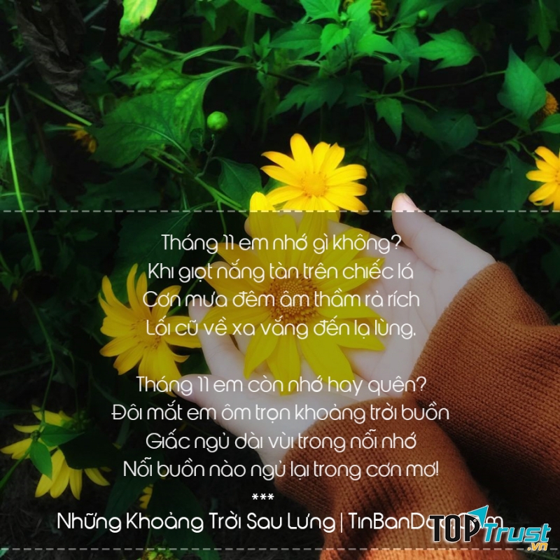 Ảnh minh họa (nguồn internet)