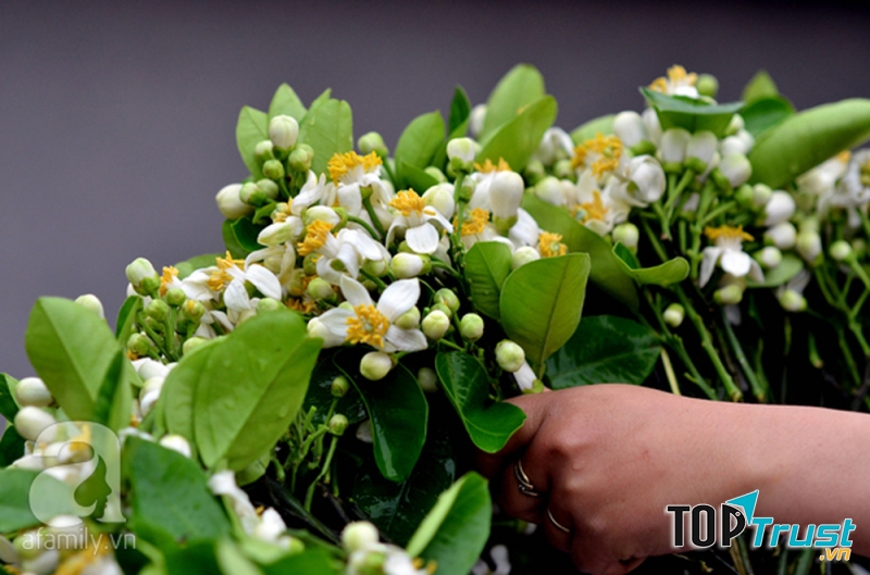 Ảnh minh họa (nguồn internet)