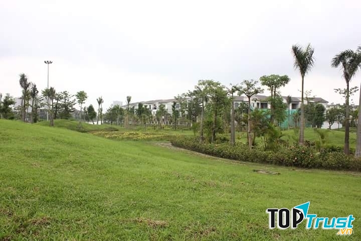 Ảnh minh họa (nguồn internet)