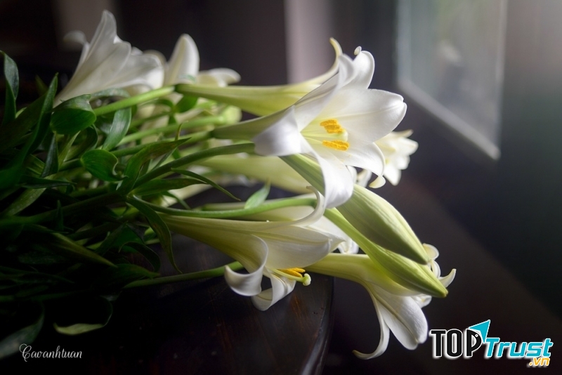 Ảnh minh họa (nguồn internet)