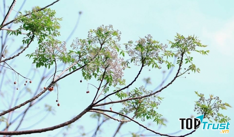 Ảnh minh họa (nguồn internet)