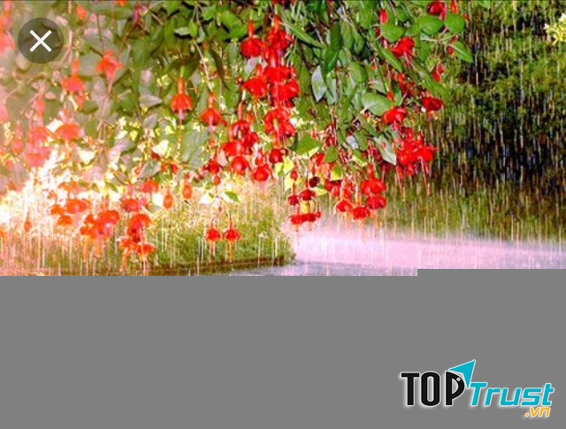 Ảnh minh họa (nguồn internet)