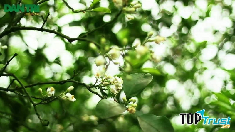 Ảnh minh họa (nguồn internet)