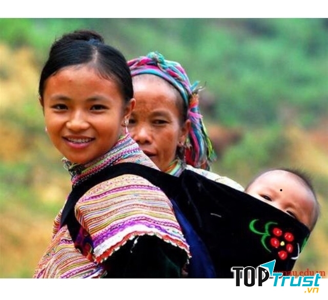 Ảnh minh họa (nguồn internet)