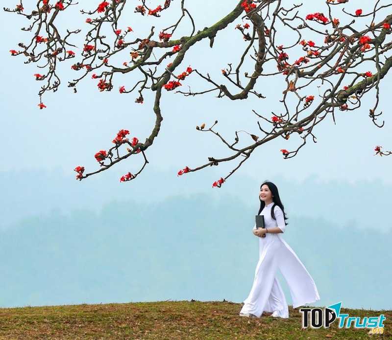 Ảnh minh họa (nguồn internet)