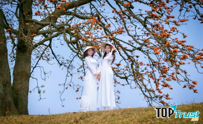 Ảnh minh họa (nguồn internet)