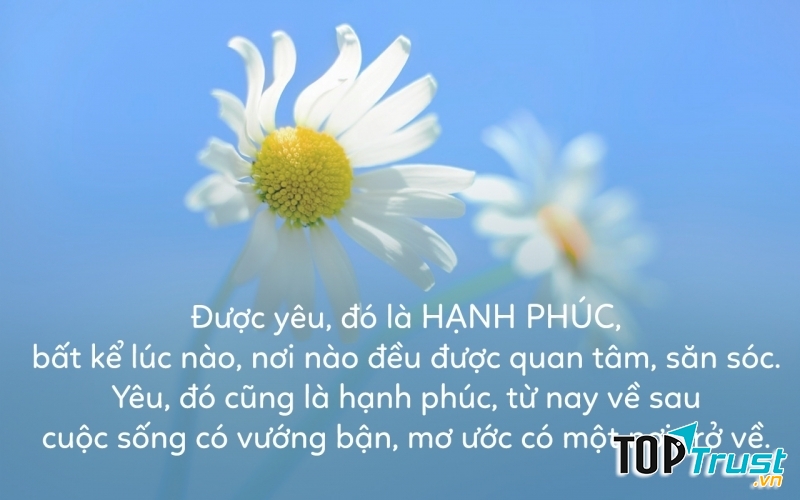Ảnh minh họa (nguồn iternet)