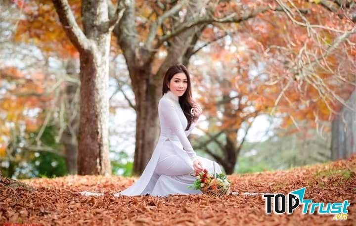 Ảnh minh họa (nguồn internet)